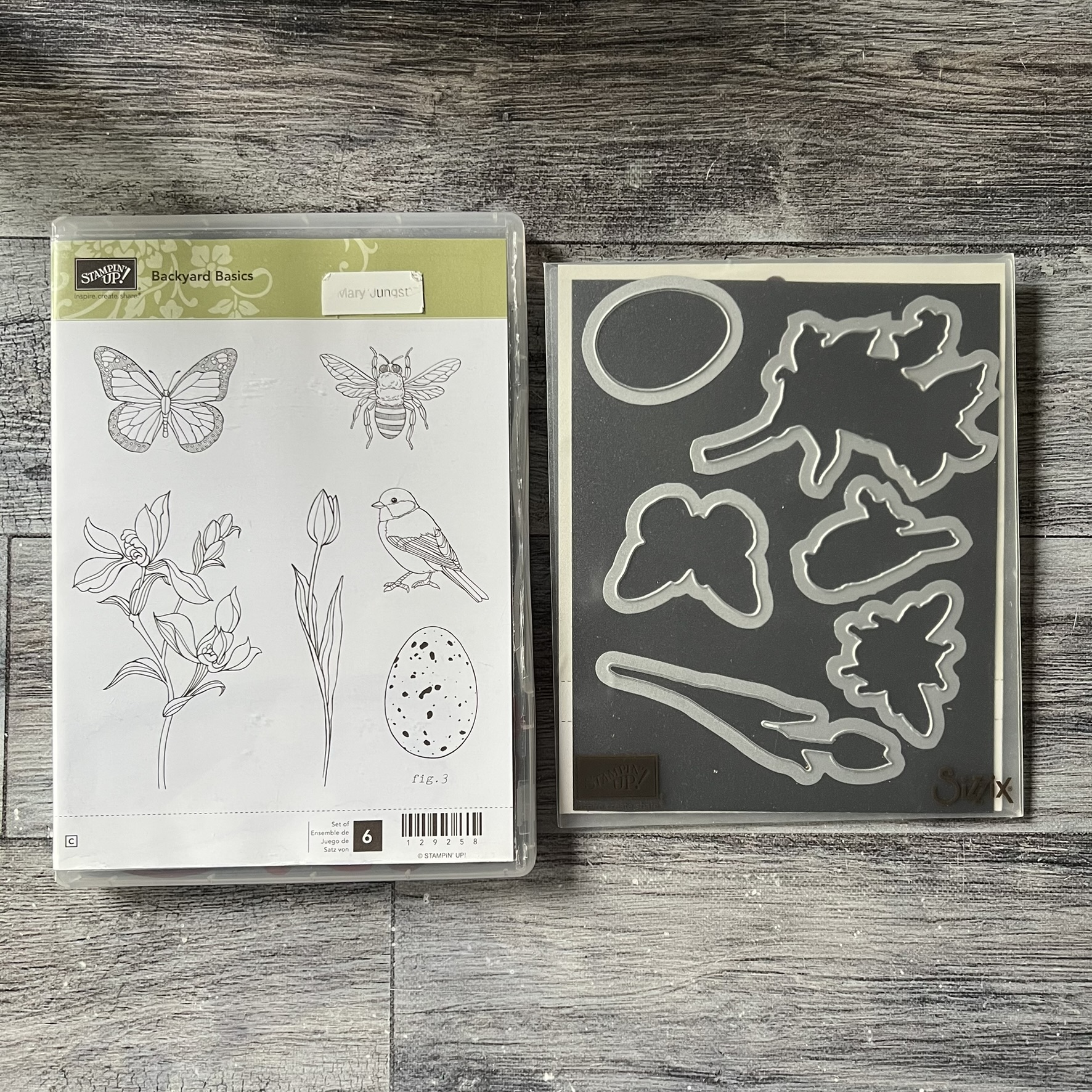Backyard Basics Stamp & Die Cut Set by Stampin' Up - Tessa Scrapbooks
