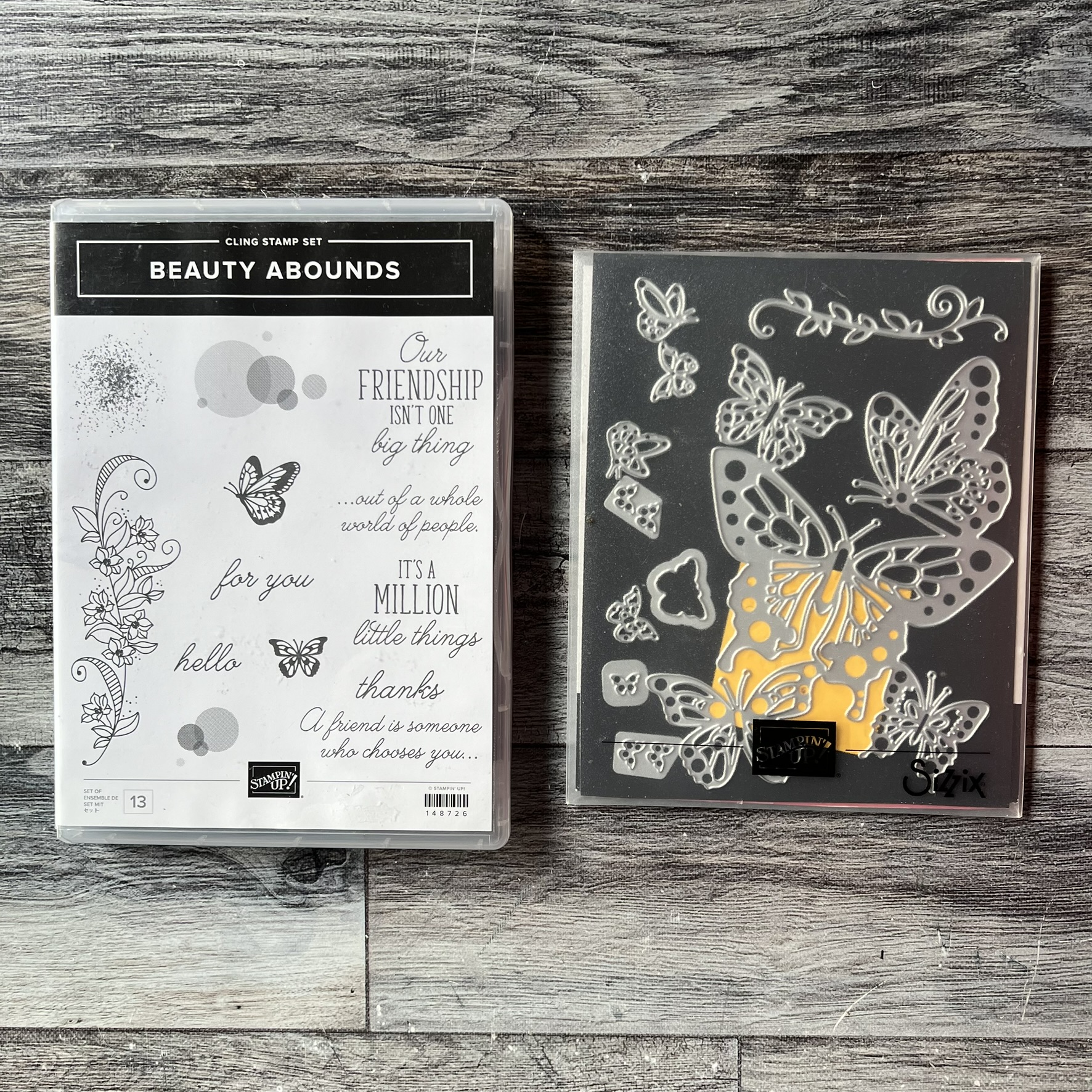 Beauty Abounds Stamp & Die Cut Set by Stampin' Up - Tessa Scrapbooks