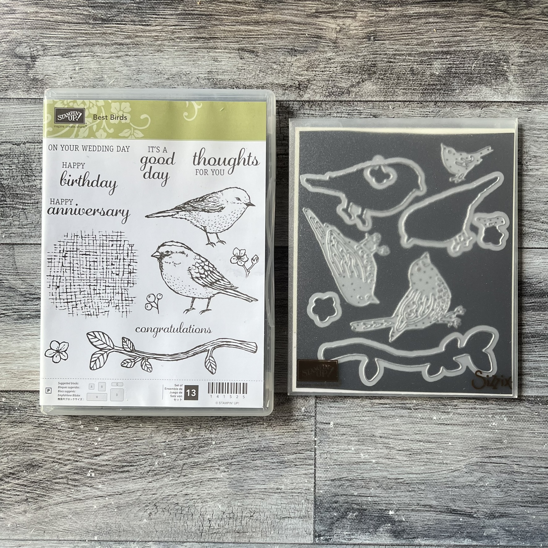 Best Birds Stamp & Die Cut Set by Stampin' Up - Tessa Scrapbooks