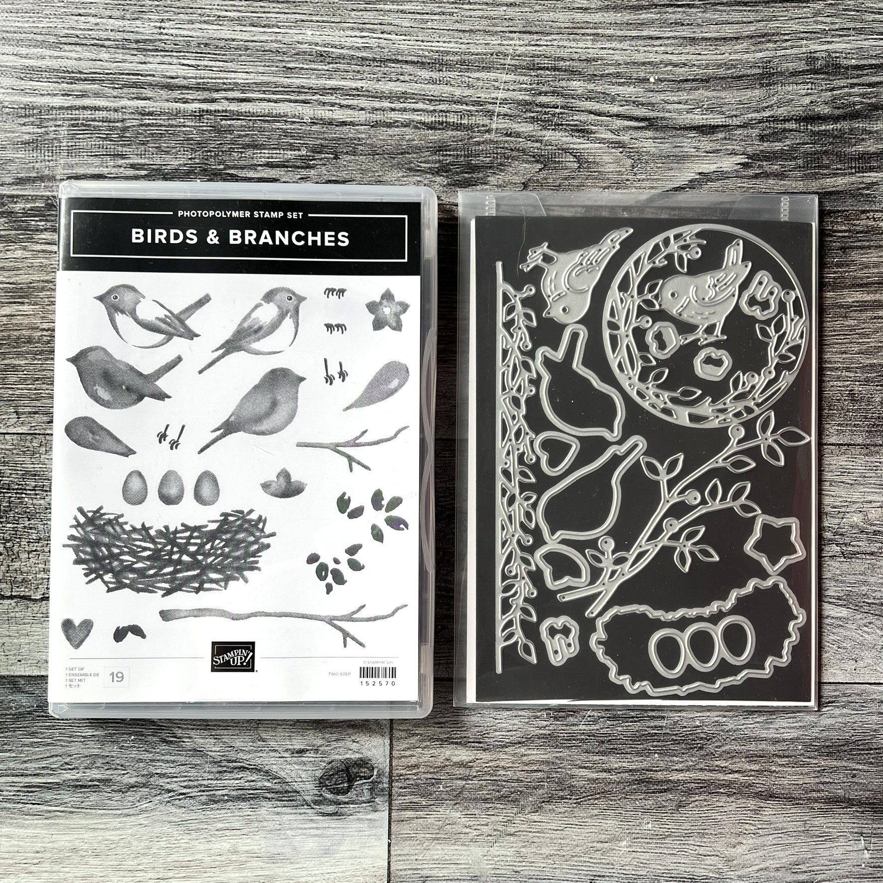 Birds & Branches Stamp & Die Cut Set by Stampin' Up - Tessa Scrapbooks