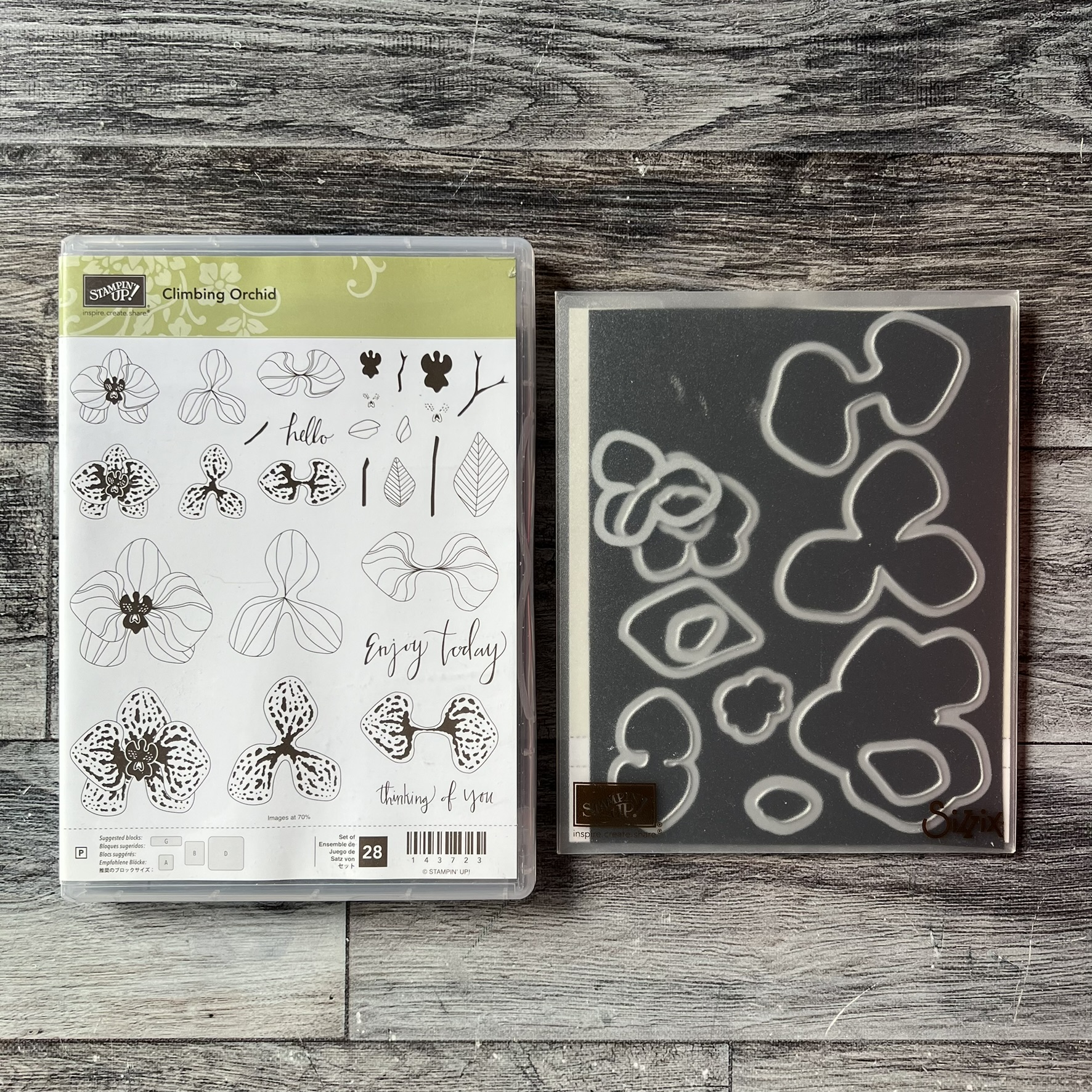 Climbing Orchid Stamp & Die Cut Set by Stampin' Up - Tessa Scrapbooks