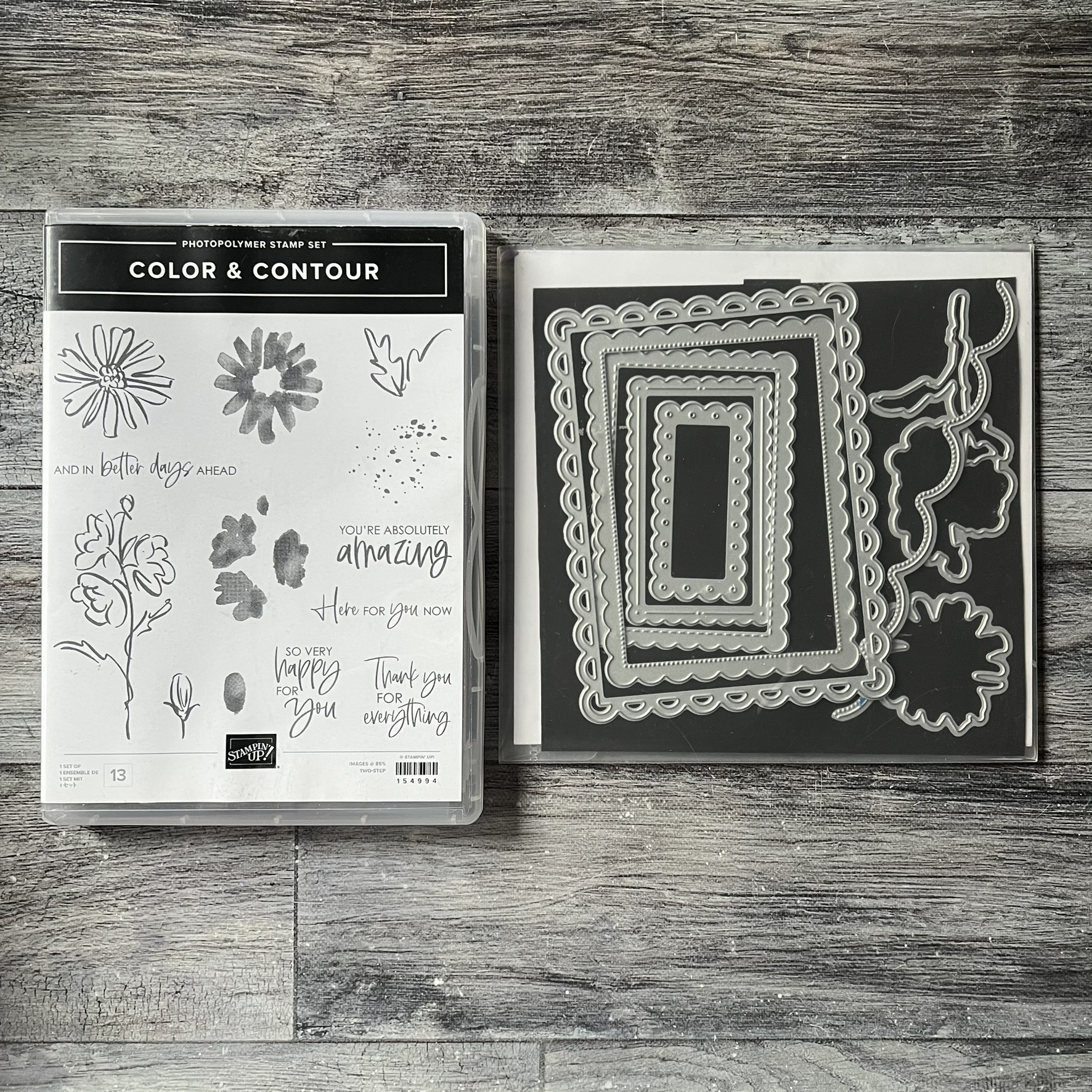 Color & Contour Stamp & Die Cut Set by Stampin' Up - Tessa Scrapbooks