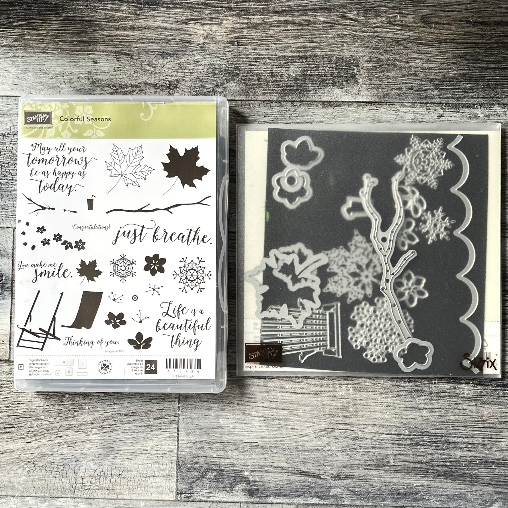 Colorful Seasons Stamp & Die Cut Set by Stampin' Up - Tessa Scrapbooks