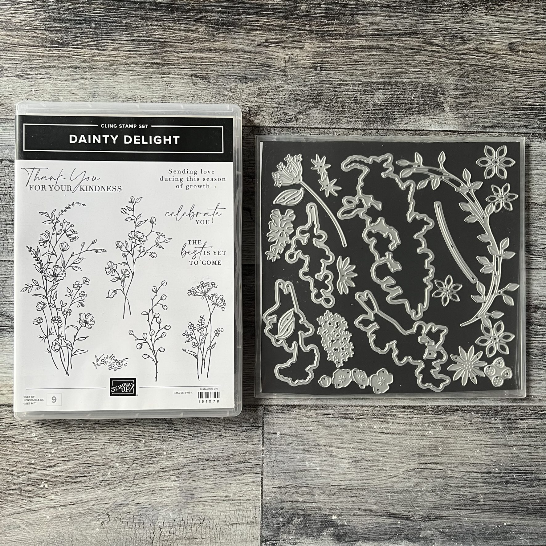 Dainty Delight Stamp & Die Cut Set by Stampin' Up - Tessa Scrapbooks
