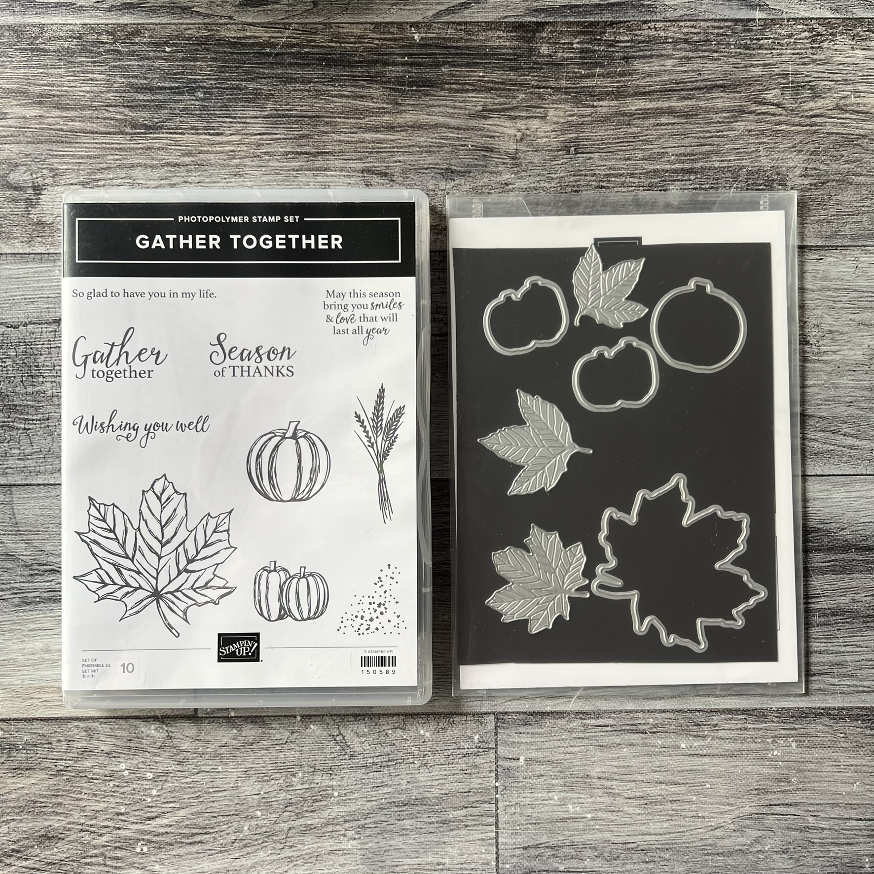 Gather Together Stamp & Die Cut Set by Stampin' Up - Tessa Scrapbooks