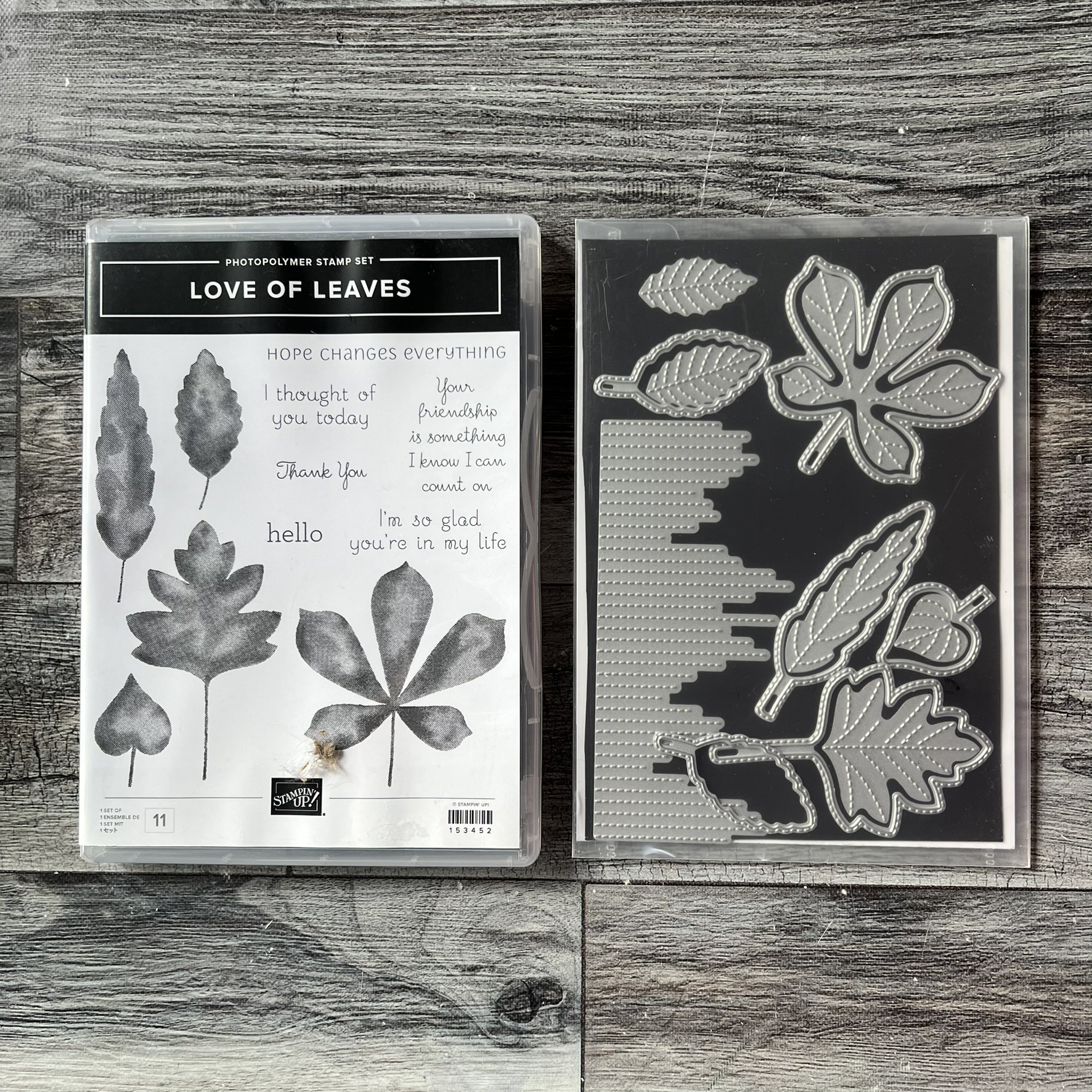 Love of Leaves Stamp & Die Cut Set by Stampin' Up - Tessa Scrapbooks