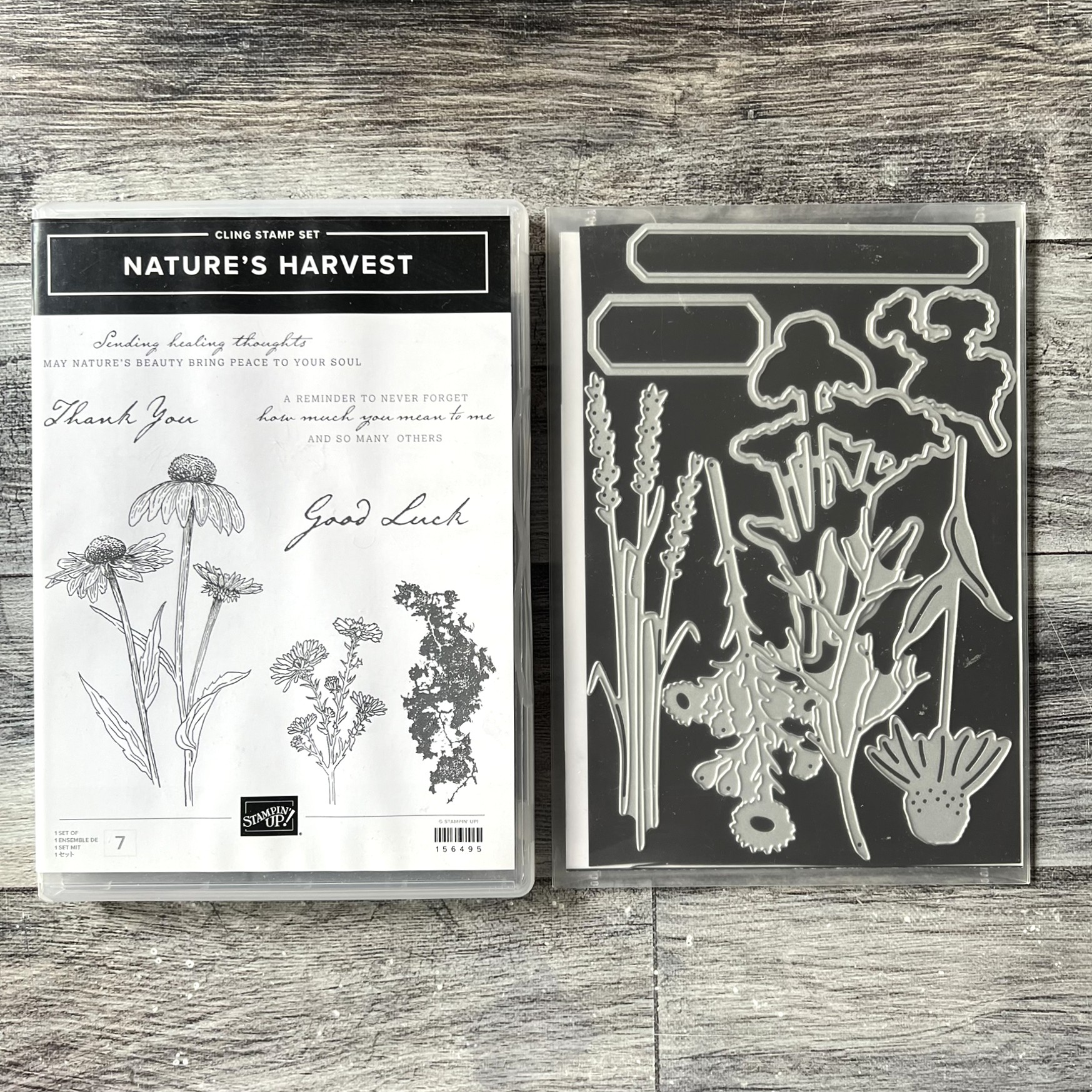 Nature's Harvest Stamp & Die Cut Set by Stampin' Up - Tessa Scrapbooks