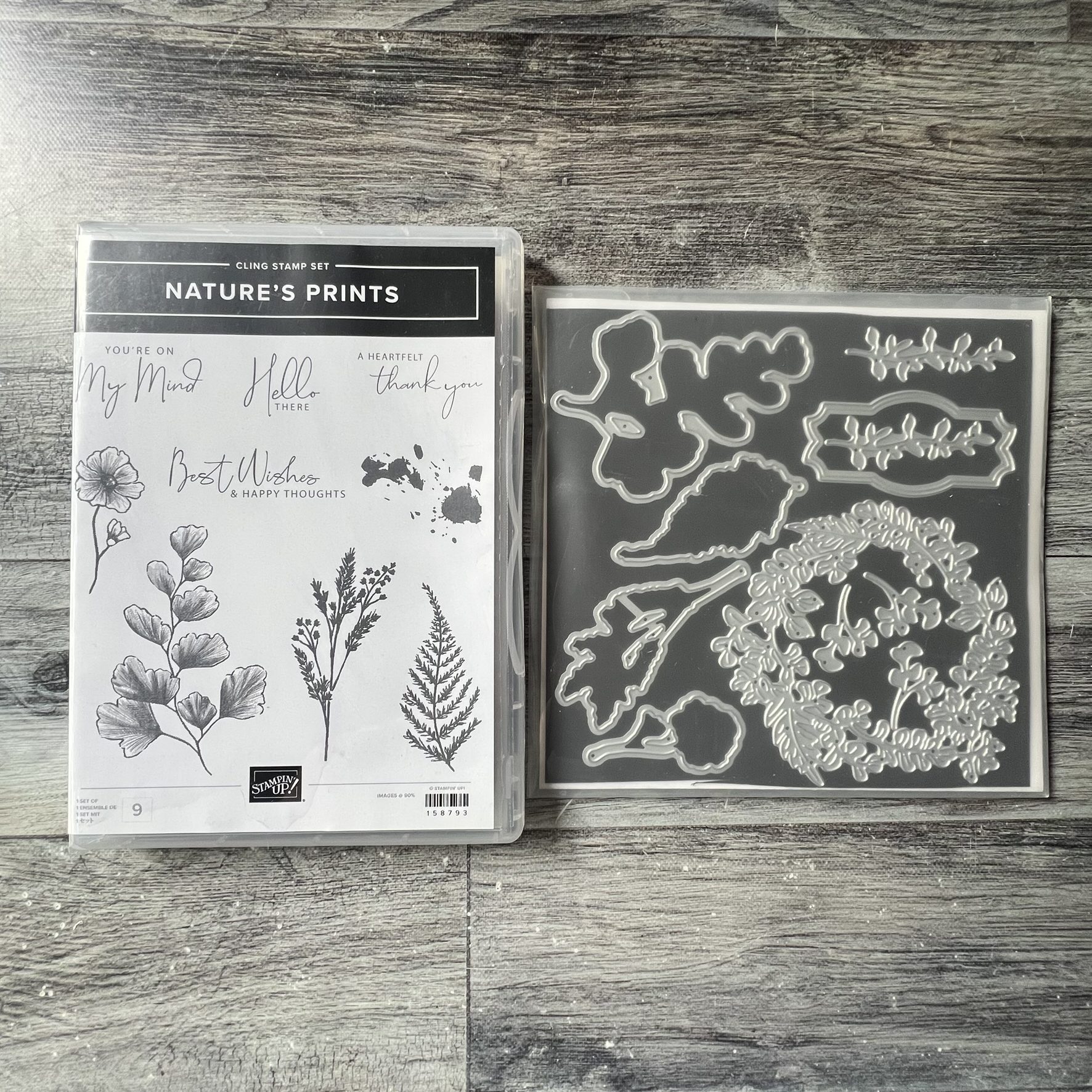 Nature's Prints Stamp & Die Cut Set by Stampin' Up - Tessa Scrapbooks