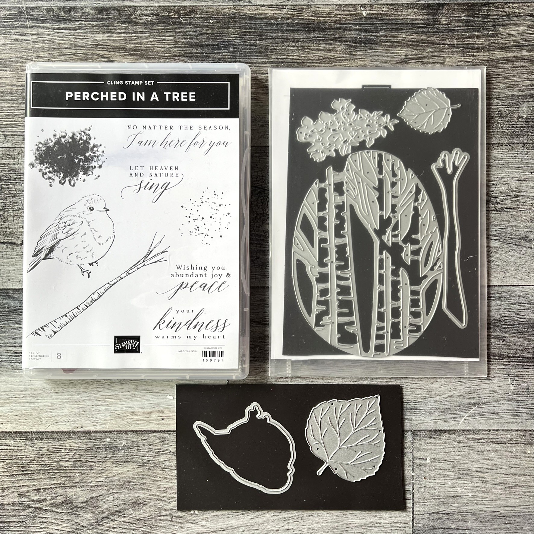 Perched in a Tree Stamp & Die Cut Set by Stampin' Up - Tessa Scrapbooks
