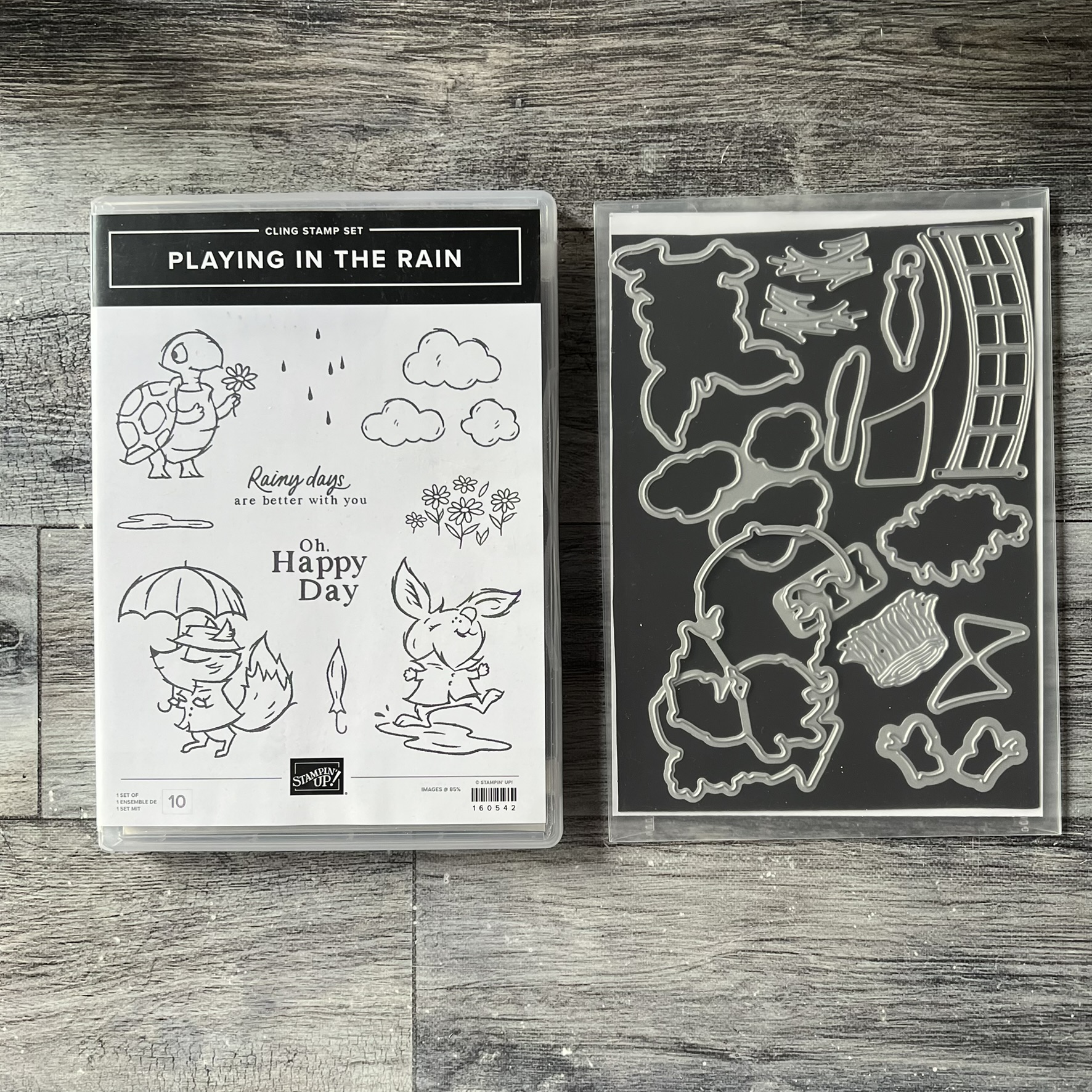Playing in the Rain Stamp & Die Cut Set by Stampin' Up - Tessa Scrapbooks