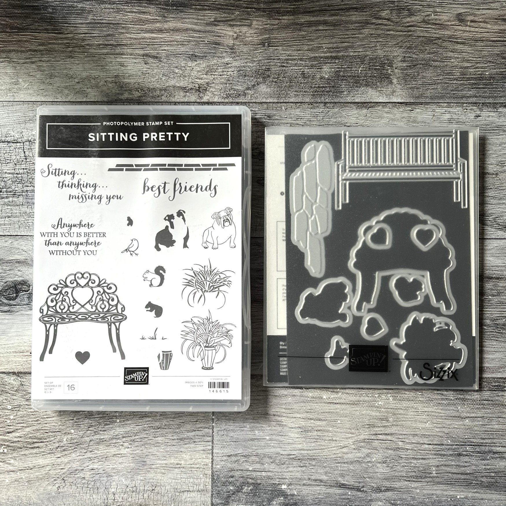Sitting Pretty Stamp & Die Cut Set by Stampin' Up - Tessa Scrapbooks