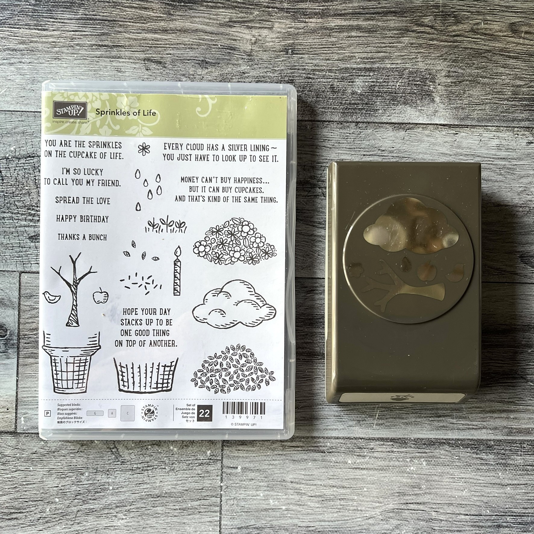 Sprinkles of Life Stamp & Punch Set by Stampin' Up - Tessa Scrapbooks
